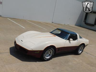 1981 Chevrolet Corvette