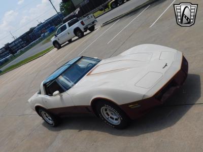 1981 Chevrolet Corvette