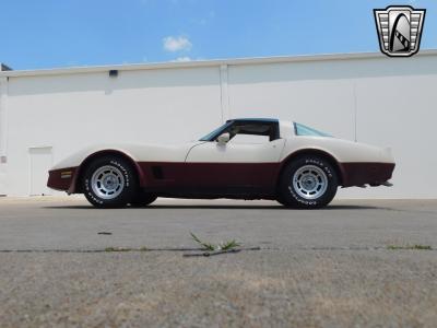 1981 Chevrolet Corvette