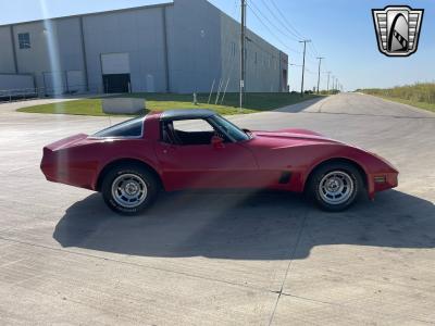 1981 Chevrolet Corvette