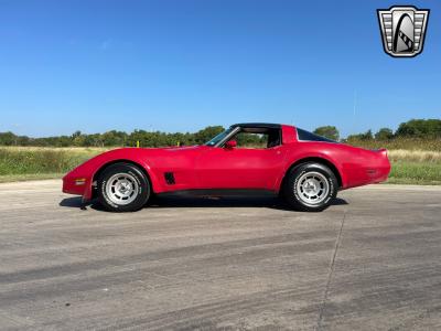 1981 Chevrolet Corvette