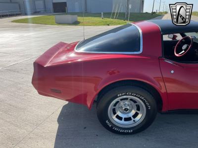 1981 Chevrolet Corvette