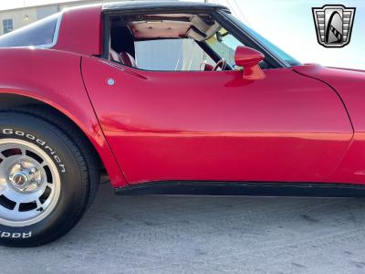 1981 Chevrolet Corvette