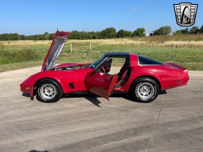 1981 Chevrolet Corvette