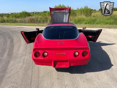 1981 Chevrolet Corvette