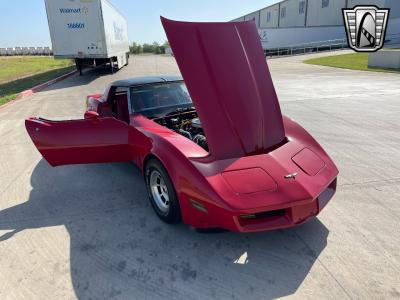 1981 Chevrolet Corvette