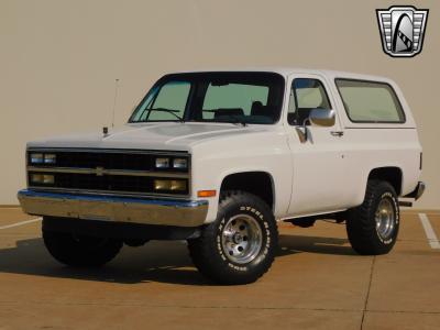 1989 Chevrolet Blazer