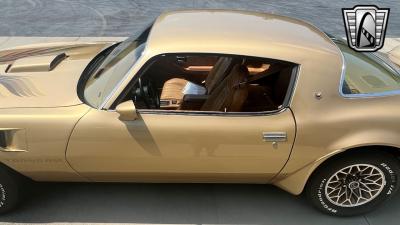 1978 Pontiac Firebird