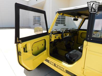 1973 Volkswagen Thing