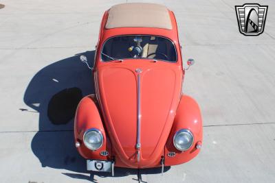 1966 Volkswagen Beetle