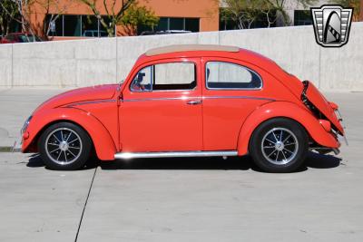 1966 Volkswagen Beetle