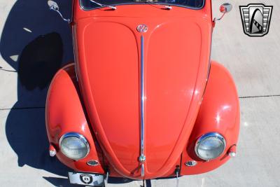 1966 Volkswagen Beetle