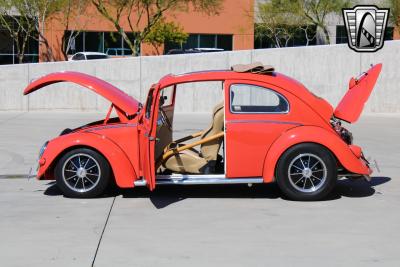 1966 Volkswagen Beetle