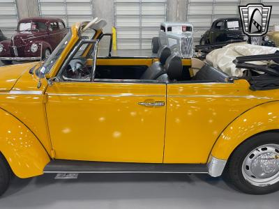 1978 Volkswagen Beetle