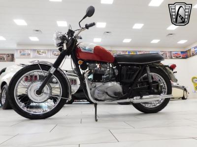 1969 Triumph Tiger