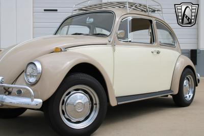 1967 Volkswagen Beetle