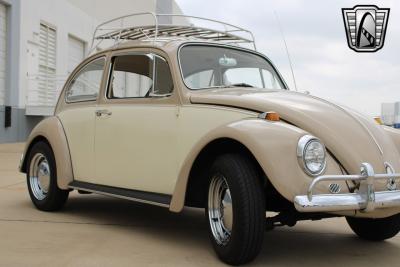 1967 Volkswagen Beetle