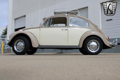 1967 Volkswagen Beetle