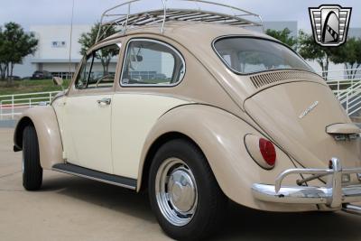 1967 Volkswagen Beetle