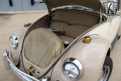 1967 Volkswagen Beetle