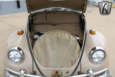 1967 Volkswagen Beetle