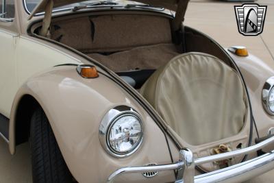 1967 Volkswagen Beetle