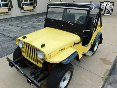 1951 Willys CJ