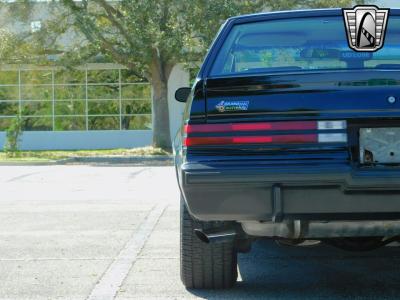 1987 Buick Regal