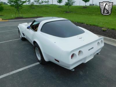 1979 Chevrolet Corvette