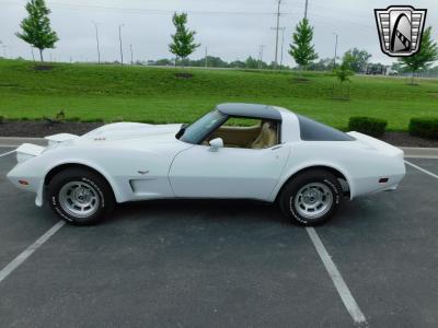 1979 Chevrolet Corvette