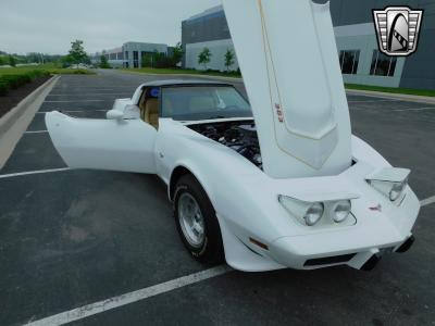 1979 Chevrolet Corvette