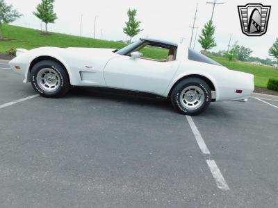 1979 Chevrolet Corvette