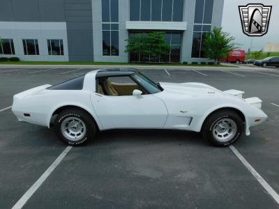 1979 Chevrolet Corvette