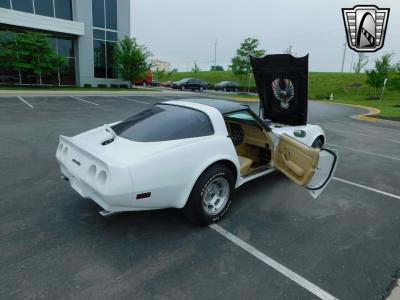 1979 Chevrolet Corvette