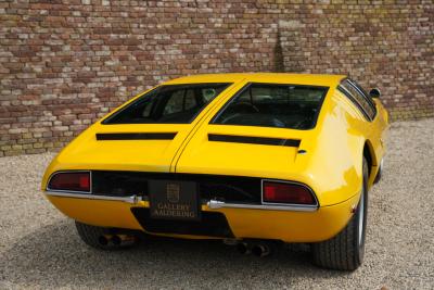 1969 De Tomaso Mangusta