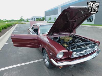 1965 Ford Mustang