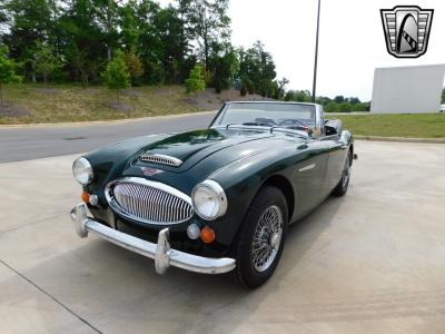 1966 Austin - Healey 3000