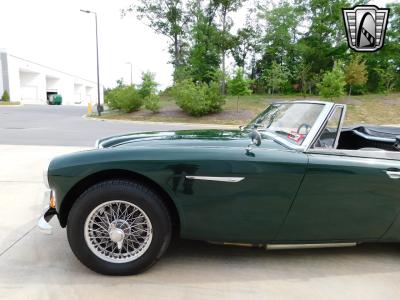 1966 Austin - Healey 3000