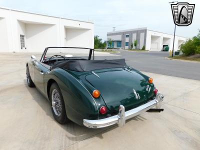 1966 Austin - Healey 3000