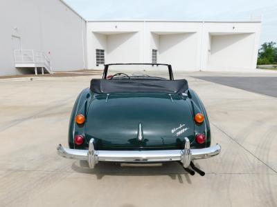 1966 Austin - Healey 3000