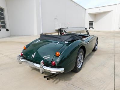 1966 Austin - Healey 3000