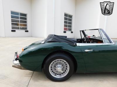 1966 Austin - Healey 3000