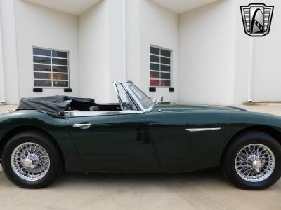 1966 Austin - Healey 3000