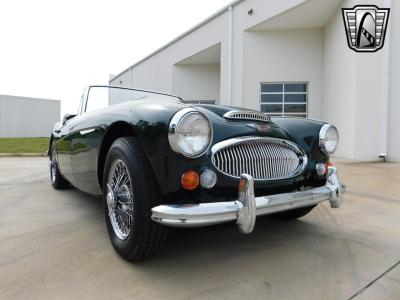 1966 Austin - Healey 3000