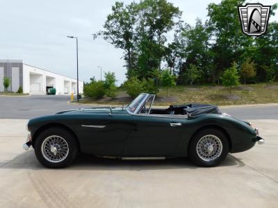 1966 Austin - Healey 3000