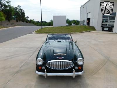 1966 Austin - Healey 3000