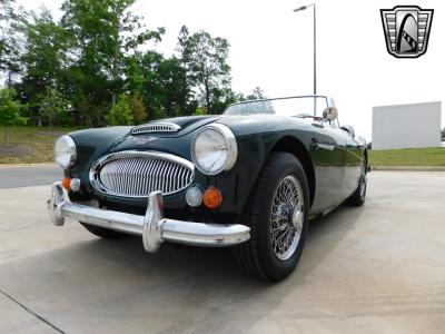 1966 Austin - Healey 3000