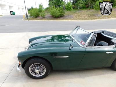 1966 Austin - Healey 3000