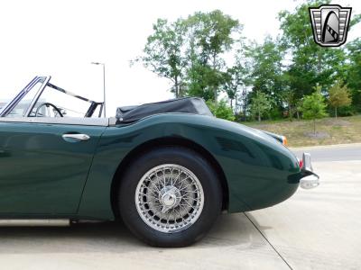 1966 Austin - Healey 3000