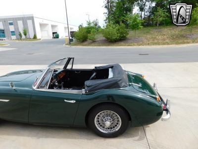 1966 Austin - Healey 3000